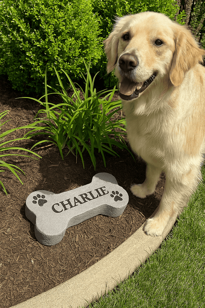 Dog Bone Stone